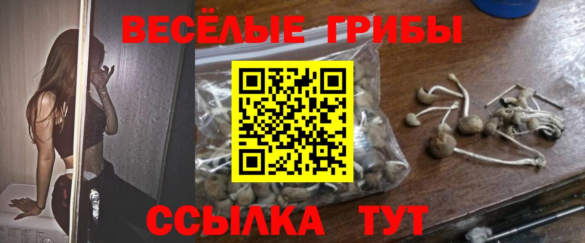 Галлюциногенные грибы MAGIC MUSHROOMS Кемерово